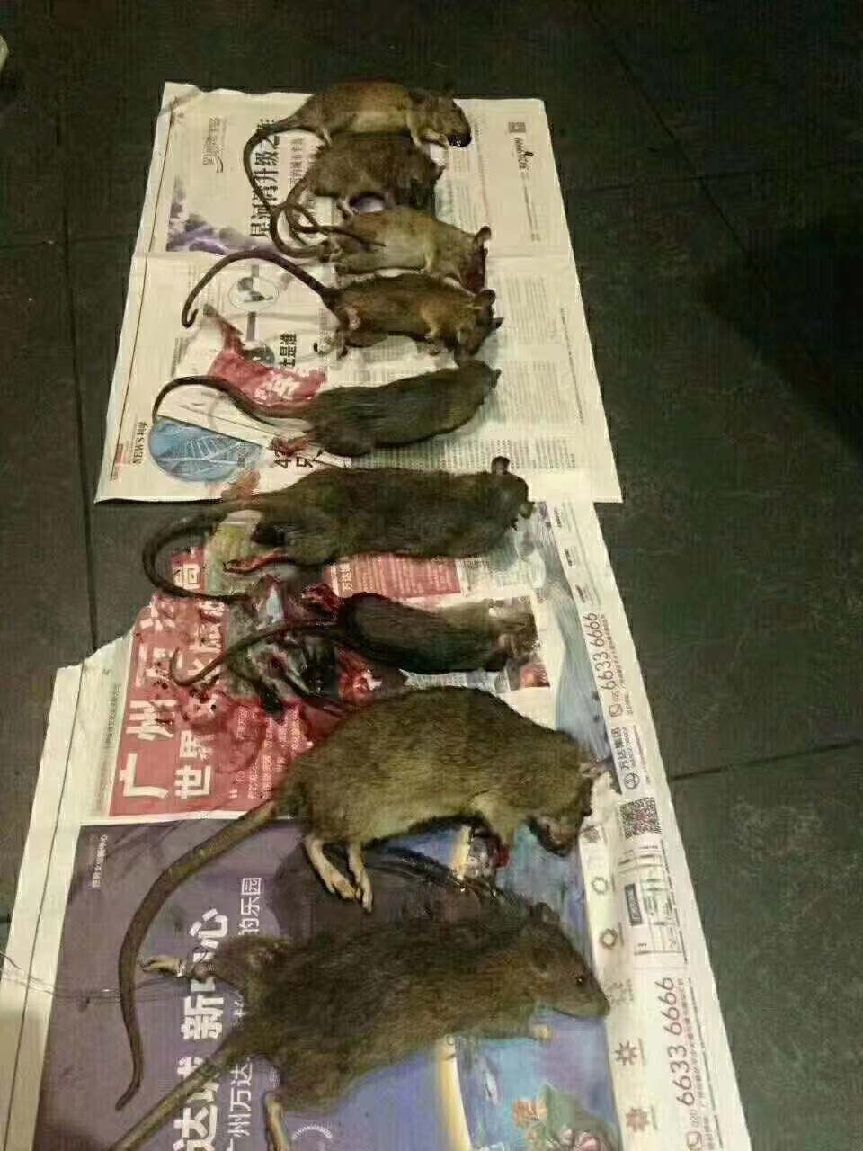 微信圖片_20211011035312.jpg 微信圖片_20211011035312.jpg