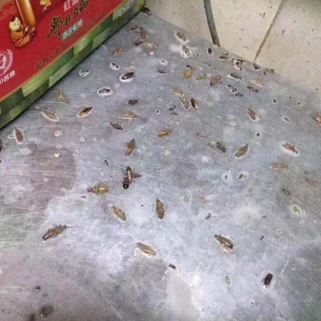 微信圖片_20211020225513.jpg 微信圖片_20211020225513.jpg