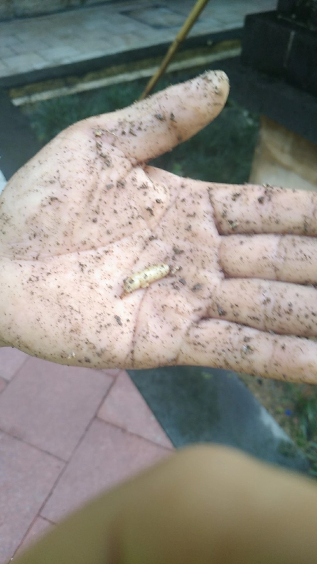 微信圖片_20211007102028.jpg 微信圖片_20211007102028.jpg