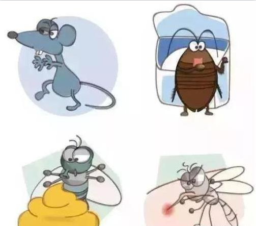 中山消殺滅四害是什么？有哪些危害