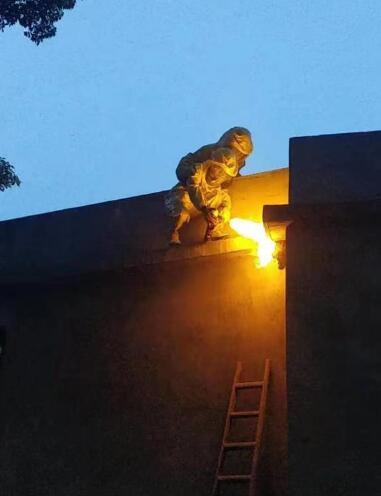 中山市民遇到馬蜂窩切莫胡亂捅，消防員教您