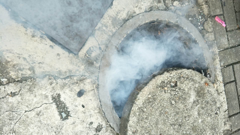 家里飛進(jìn)飛蟻怎么辦？