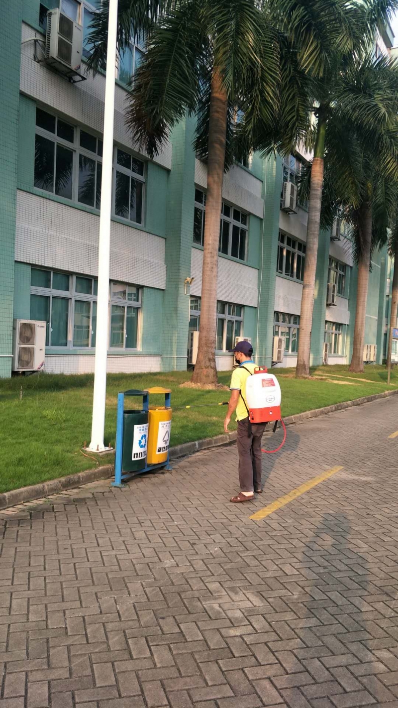 中山家里發(fā)現(xiàn)很多白蟻怎么辦？-珠海格蘭云