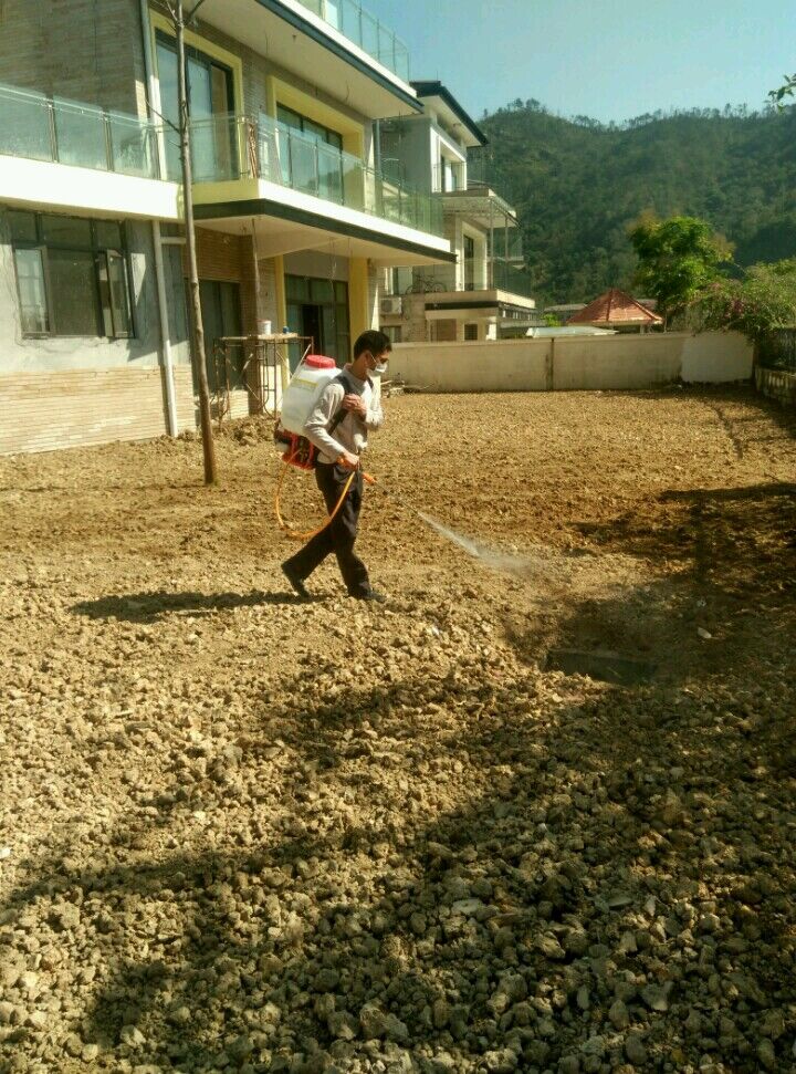 中山別墅白蟻防治 中山別墅白蟻預防