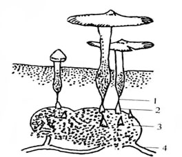 1581498825128889.png image.png